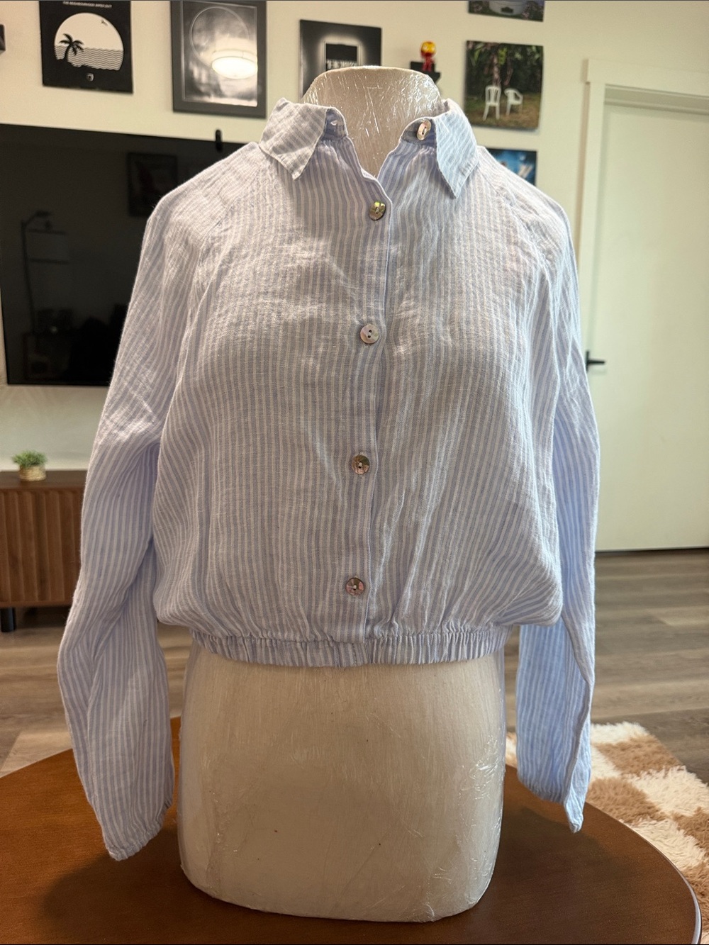 Rachel Zoe Light Blue and White Striped Button-Up Blouse. NEW WITHOUT TAGS.